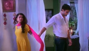 বিশেষ পর্ব