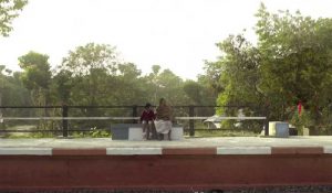 গ্রামের মাঠে
